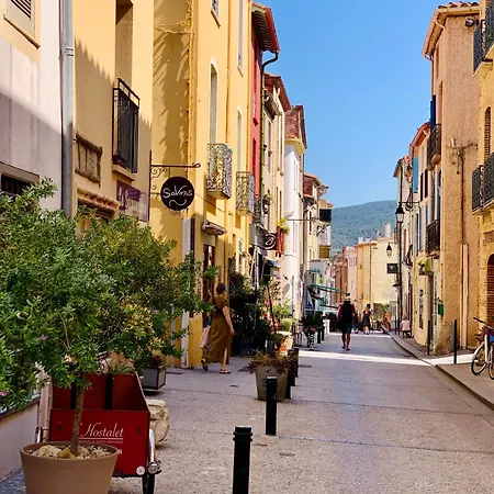 Moderne Sur Mer.la A Pieds, Espagne A 30mn Argelès-sur-Mer